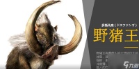 怪物猎人XX 打造强大猎虫团队