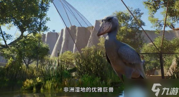 呆萌大鸟登场!《动物园之星2》发布鲸头鹳实机宣传片