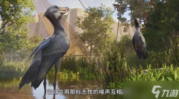 呆萌大鸟登场!《动物园之星2》发布鲸头鹳实机宣传片