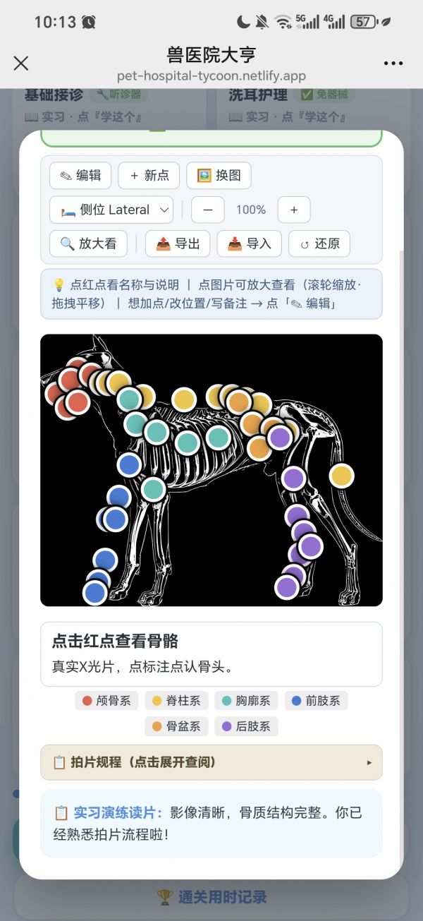 兽医院大亨好玩吗 兽医院大亨玩法简介