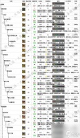《怪物猎人世界冰原DLC大锤怎么配装》 打造最强大锤装备的配装技巧