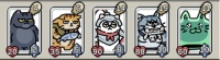 《喵咪争霸》【喵咪图鉴】猫咪定位科普