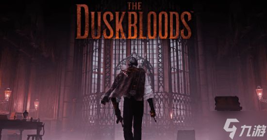 宫崎英高NS2独占新作《The Duskbloods》质量超高：帧数锁定40帧