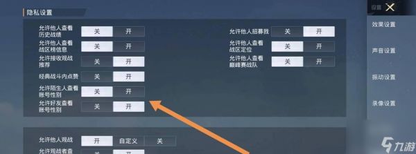 和平精英（掌握隐身在线）
