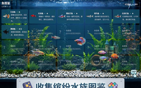 我的鱼缸什么时候出 公测上线时间预告