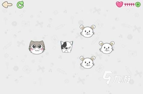 2026最有趣的逗猫游戏推荐：超好玩的猫咪互动小游戏大盘点