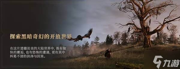 《巫师3狂猎》购买指南 各版本区别一览