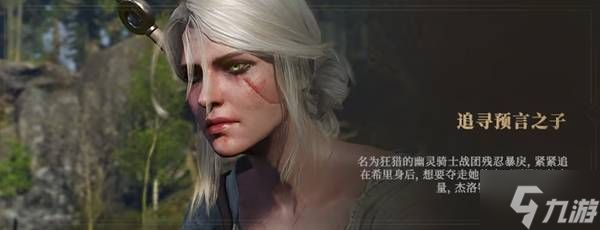 《巫师3狂猎》购买指南 各版本区别一览