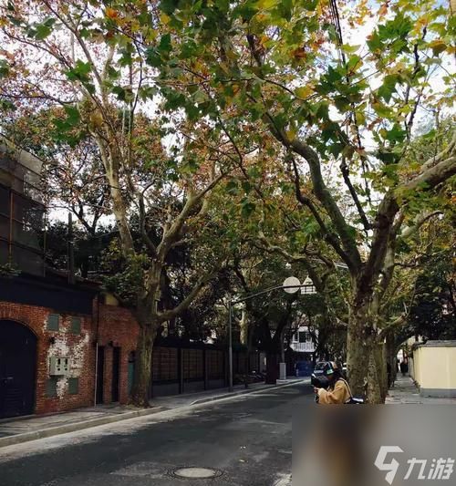 互扔馅饼游戏（以游戏为主的互动娱乐）
