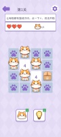 猫咪猜猜猜什么时候出 公测上线时间预告