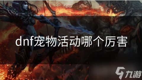 dnf宠物活动哪个厉害