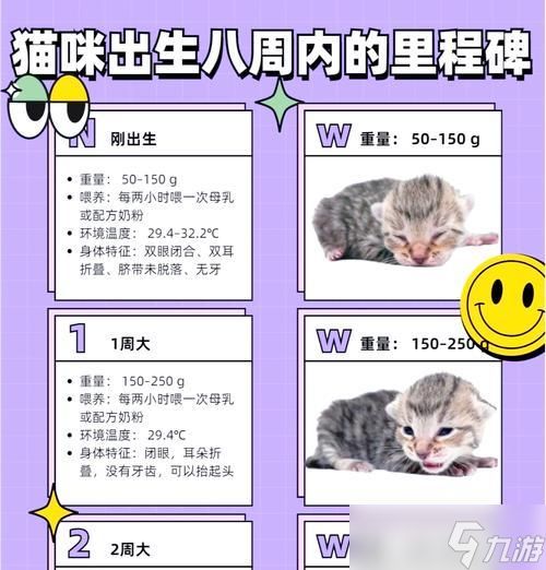 猫咪大冒险（基因属性与游戏世界相遇）