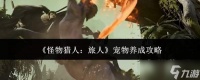 怪物猎人旅人 宠物养成方法与攻略