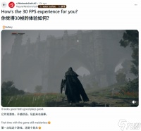 30fps真的不行吗 NS2玩《老头环》:比想象中舒服