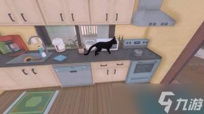 小猫咪大城市怎么找到回家的路