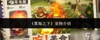 雾海之下有什么宠物介绍