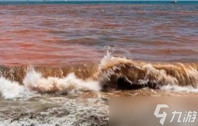 海洋灾害咸潮多发生在河流的哪个位置