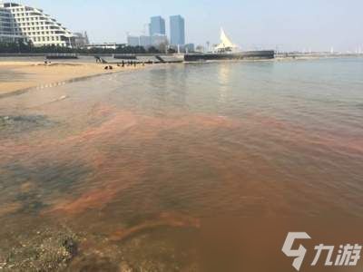海洋灾害咸潮多发生在河流的哪个位置