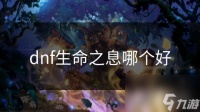 dnf生命之息哪个好