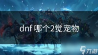dnf 哪个2觉宠物