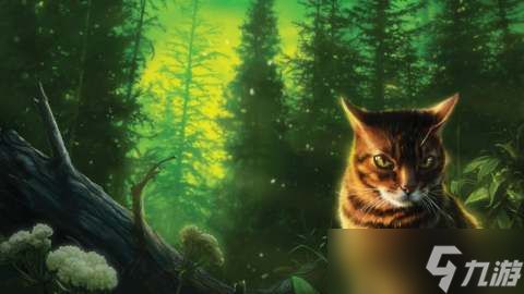 玻利维亚发现猫科新物种，此前曾被误认为是普通小猫