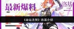 命运圣契洛基强度怎么样