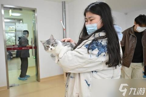 《心动小镇》×「首都爱护动物协会」公益特别行动温暖落地