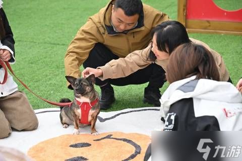 《心动小镇》×「首都爱护动物协会」公益特别行动温暖落地